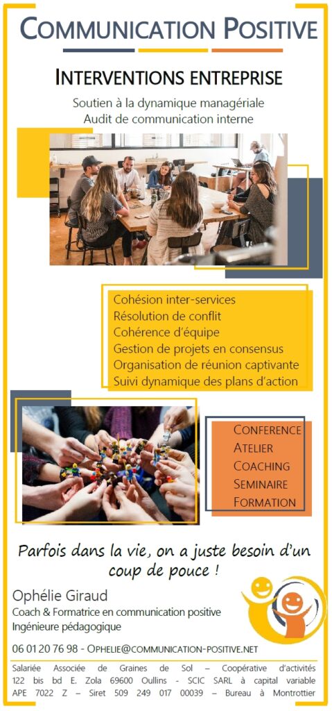 séminaire teambulding formation communication positive entreprise manager conflit facilitation audit